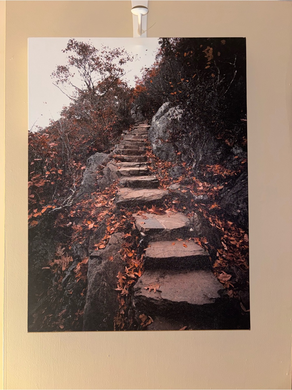 Autumn Stone Steps Wall Art Print in Brown and Black 18x24